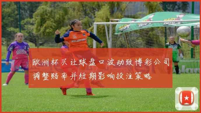 欧洲杯买让球盘口波动致博彩公司调整赔率并短期影响投注策略